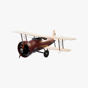 Vintage Biplane Aircraft With Radial Engine