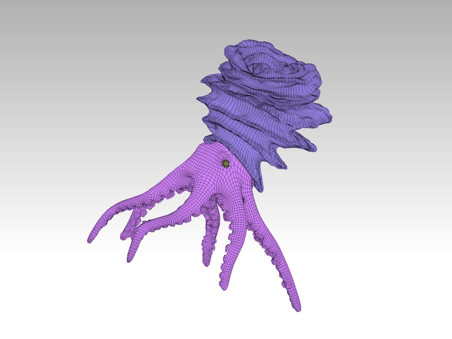 3D octopus - TurboSquid 1343111