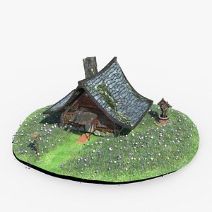 Wizard House 3D model