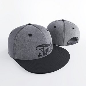 True snapback Grey