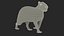 3D Capybara Walking Pose Fur