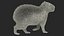 3D Capybara Walking Pose Fur