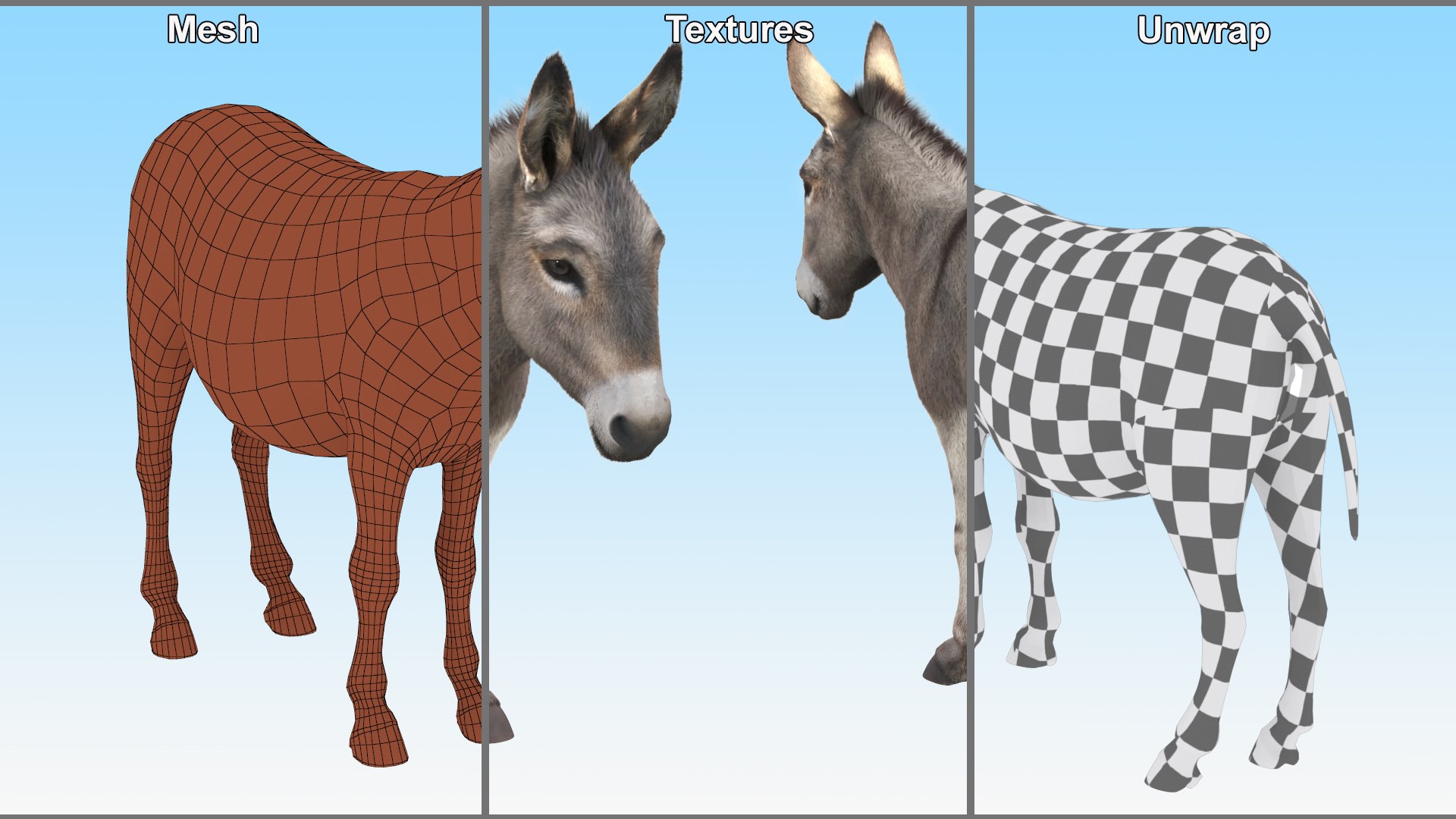 Short-Haired Pack Donkey Fur Rigged for Maya 3D https://p.turbosquid.com/ts-thumb/9E/SJvcka/Mr/shorthaired_pack_donkey_fur_rigged_014/jpg/1762554062/1920x1080/fit_q87/b601d50c34a5b4614787777970f1b3d6f8bf01d3/shorthaired_pack_donkey_fur_rigged_014.jpg