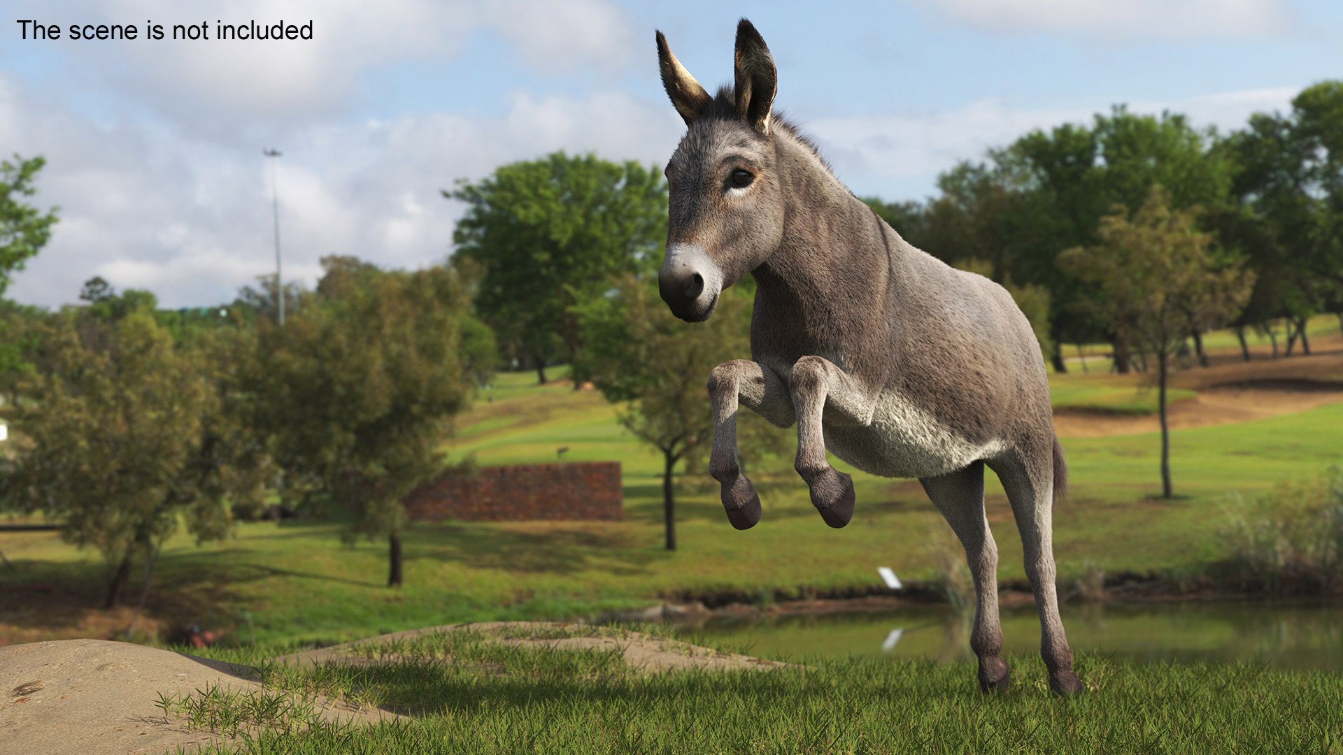 Short-Haired Pack Donkey Fur Rigged for Maya 3D https://p.turbosquid.com/ts-thumb/9E/SJvcka/Pi/shorthaired_pack_donkey_fur_rigged_004/jpg/1762554026/1920x1080/fit_q87/53d9a83be7b10871dad82e7e6553afa6e6706e13/shorthaired_pack_donkey_fur_rigged_004.jpg