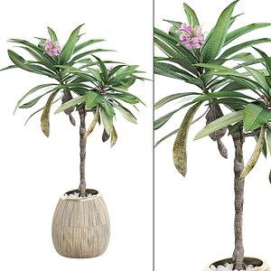 potted plant 27 model