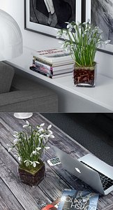 Snowdrops in Glass Cube