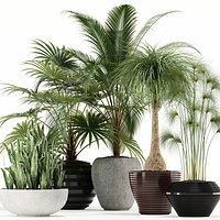 Plants collection 103
