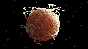 cell macrophage 3d obj