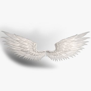 Angel Wings Rigged