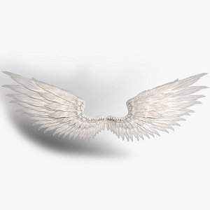 Angel Wings Rigged