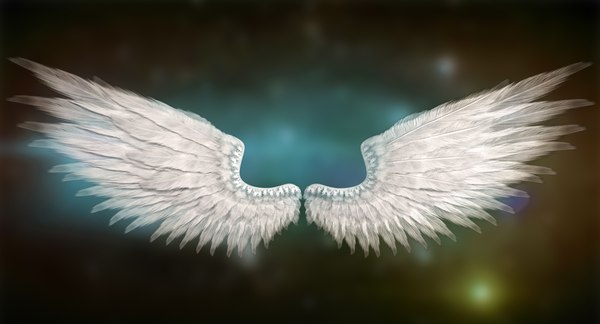 Realistic angel wings rigged 3D - TurboSquid 1282097