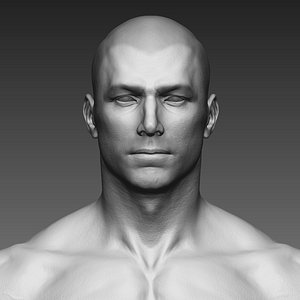 zbrush realistic man human 3D model
