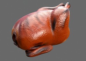 chicken