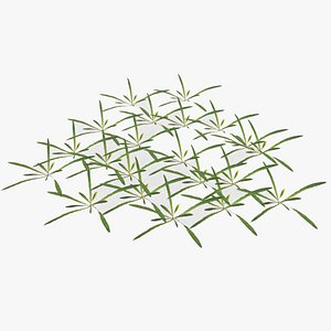plant lawn model