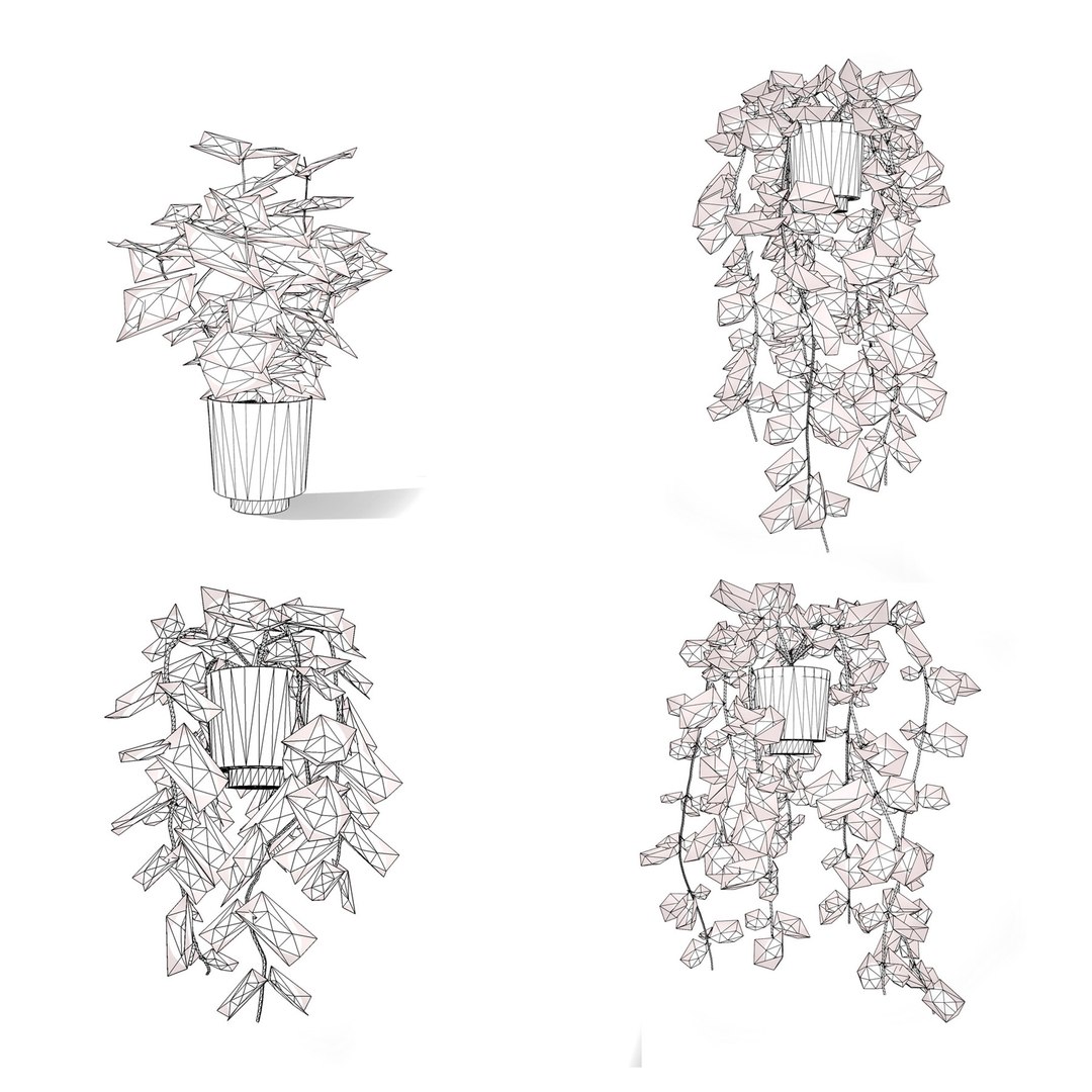 Realistic Low-Poly Indoor Plants 3d collection model https://p.turbosquid.com/ts-thumb/9F/StaDd3/1F/indoorhoyapottedplants3dcollection06/jpg/1728509455/1920x1080/fit_q87/84b0dd734de09ca9cba01eca9eeba287a92b2957/indoorhoyapottedplants3dcollection06.jpg