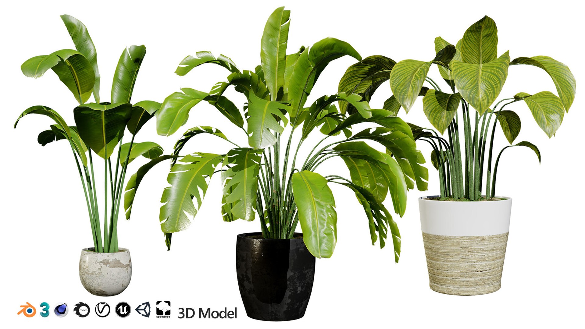 Realistic Low-Poly Indoor Plants 3d collection model https://p.turbosquid.com/ts-thumb/9F/StaDd3/4i/indoorpottedbananaplants01/jpg/1728517420/1920x1080/fit_q87/98ec8ece8521b827a2c9d1454c1f540ca870ed68/indoorpottedbananaplants01.jpg