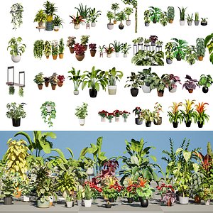 Realistic Low-Poly Indoor Plants 3d collection model