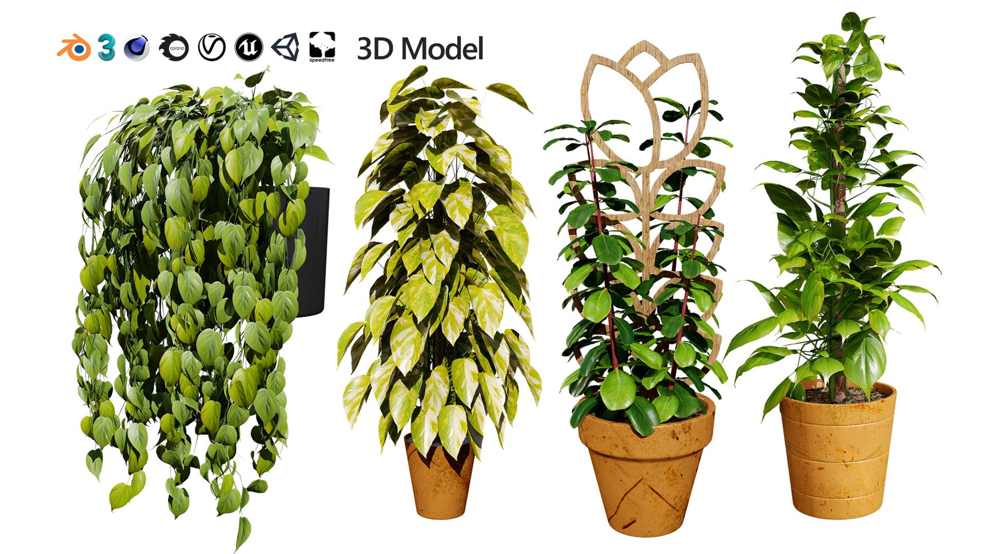 Realistic Low-Poly Indoor Plants 3d collection model https://p.turbosquid.com/ts-thumb/9F/StaDd3/I1/realisticsindoorpothos3dmodel01/jpg/1728517415/1920x1080/fit_q87/11ab46841609c576ba2d6f3cbd52a558b25784a0/realisticsindoorpothos3dmodel01.jpg