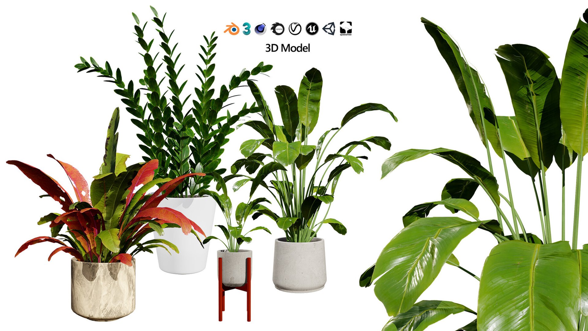 Realistic Low-Poly Indoor Plants 3d collection model https://p.turbosquid.com/ts-thumb/9F/StaDd3/JV/indoorplants3dmodelpack01/jpg/1728517396/1920x1080/fit_q87/d297f57d53332ef45c903bc22350d0576bf39abc/indoorplants3dmodelpack01.jpg