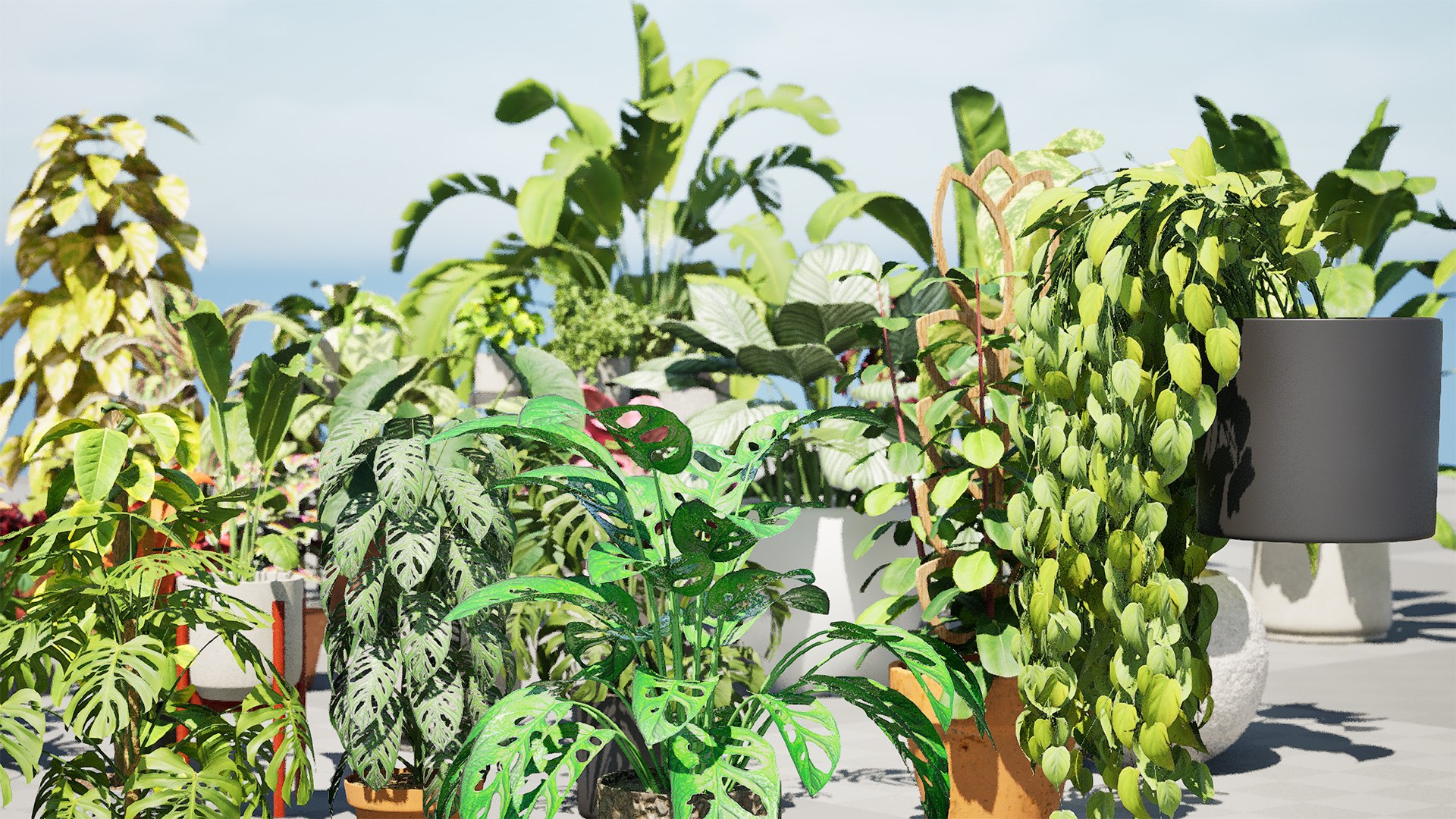 Realistic Low-Poly Indoor Plants 3d collection model https://p.turbosquid.com/ts-thumb/9F/StaDd3/KK/highresscreenshot00005/jpg/1728509438/1920x1080/fit_q87/3f3094c545fcafa23c25b5df9a7912459c6cdc07/highresscreenshot00005.jpg