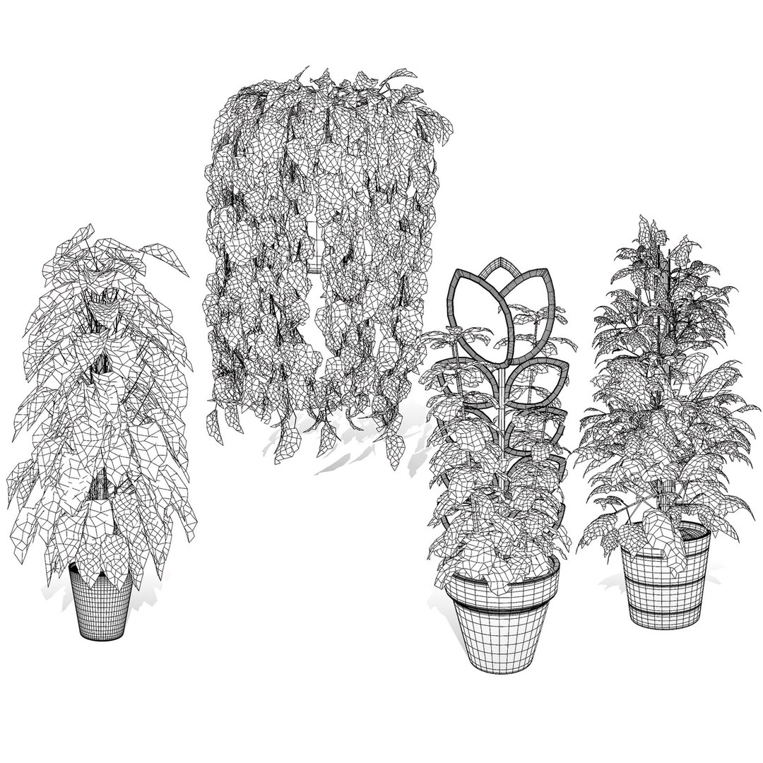 Realistic Low-Poly Indoor Plants 3d collection model https://p.turbosquid.com/ts-thumb/9F/StaDd3/Mz/realisticsindoorpothos3dmodel/jpg/1728509455/1920x1080/fit_q87/b43fd82d54d7fd024d44a64d3d1520228abb5769/realisticsindoorpothos3dmodel.jpg
