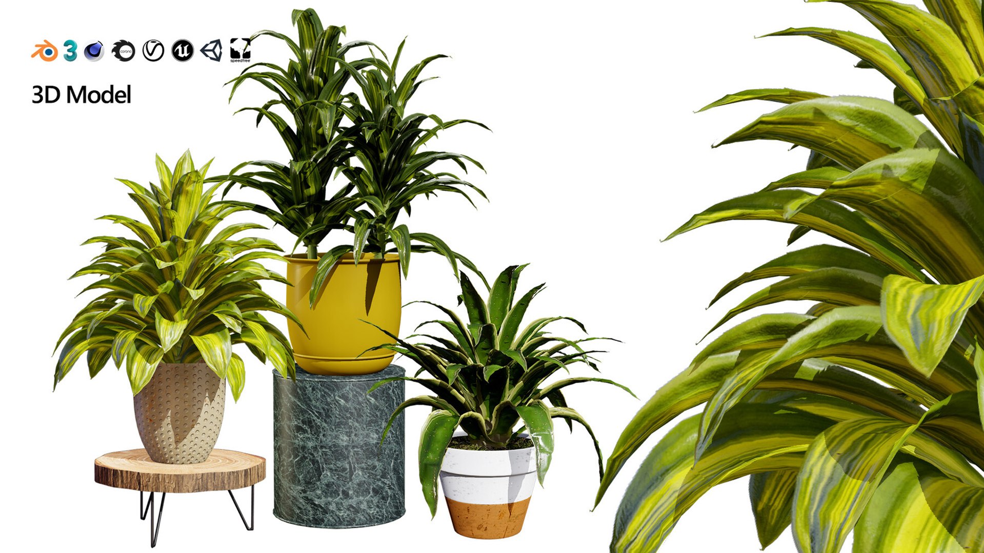 Realistic Low-Poly Indoor Plants 3d collection model https://p.turbosquid.com/ts-thumb/9F/StaDd3/VQ/cornplant3dmodel01/jpg/1728517425/1920x1080/fit_q87/62955fc8b5de05094772d95e7ab2a2c0b7dd620f/cornplant3dmodel01.jpg