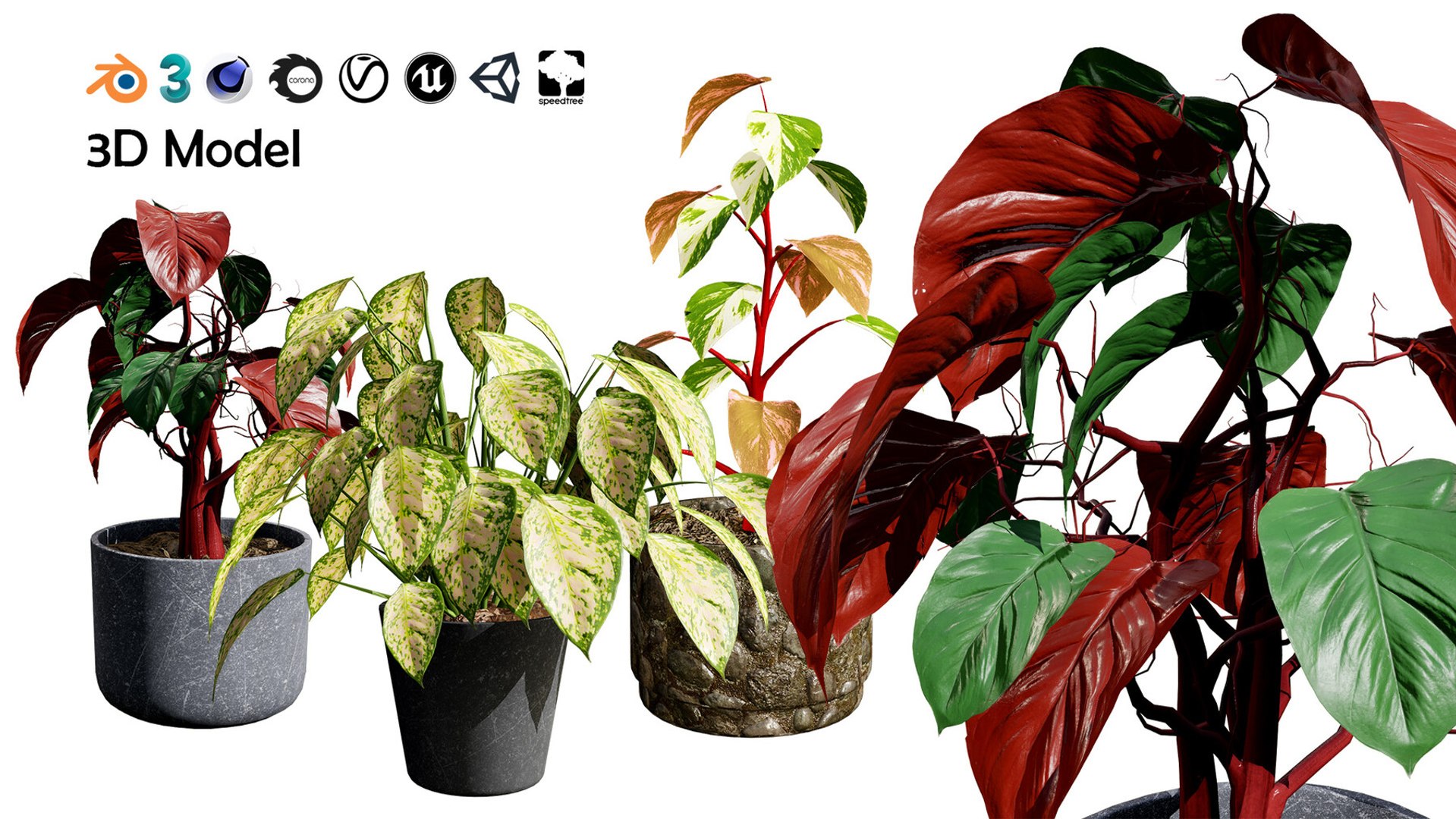 Realistic Low-Poly Indoor Plants 3d collection model https://p.turbosquid.com/ts-thumb/9F/StaDd3/YS/pottedplantscollectionmixmatchgreenery01/jpg/1728517302/1920x1080/fit_q87/19a8ac0551d7f6ff4abd6c1be9382ec3fe68ae34/pottedplantscollectionmixmatchgreenery01.jpg