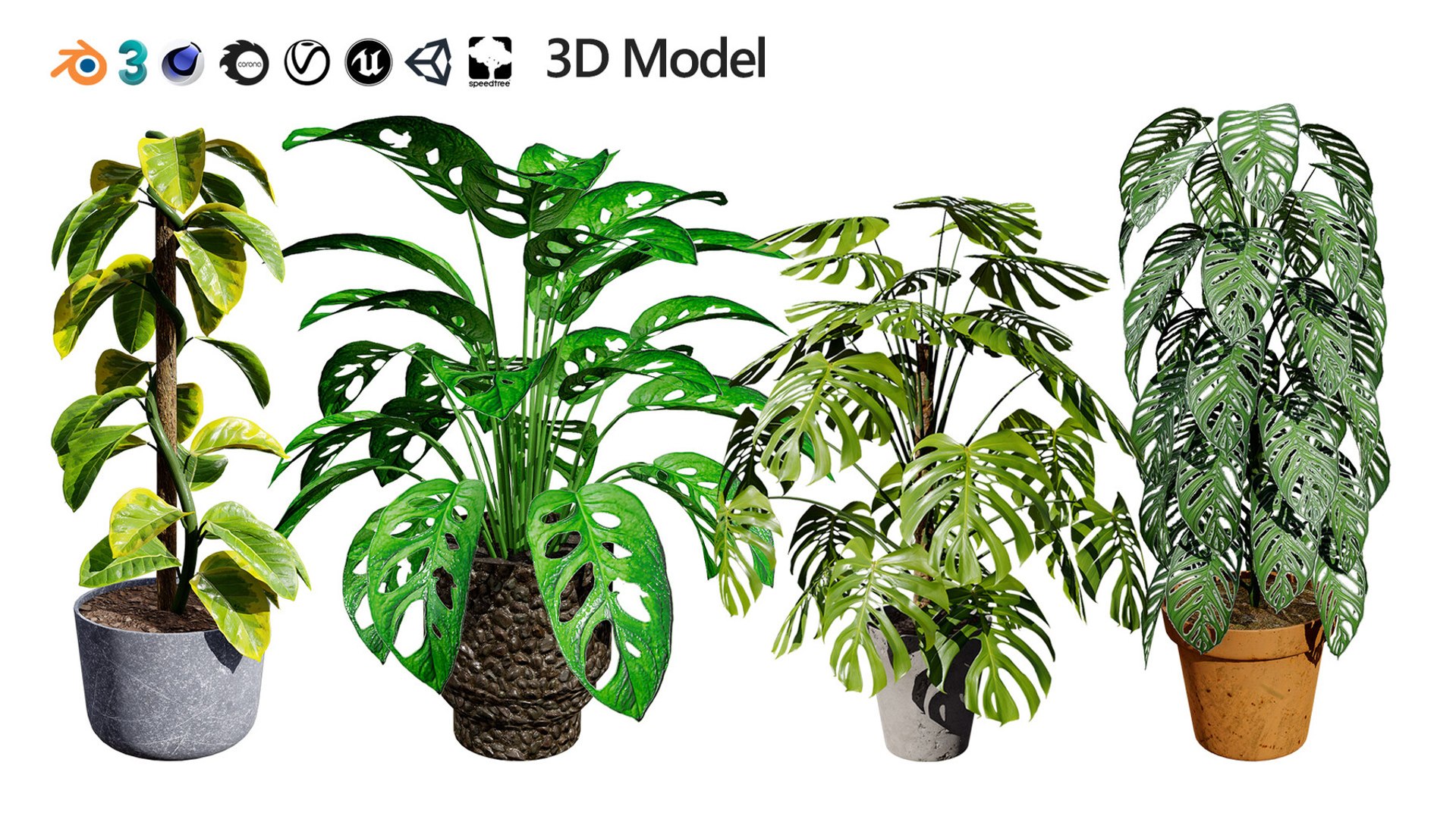 Realistic Low-Poly Indoor Plants 3d collection model https://p.turbosquid.com/ts-thumb/9F/StaDd3/dE/monsteraplant3dmodel05/jpg/1728517381/1920x1080/fit_q87/2b2c5fcca594602f805209a3ca2af0b5e74f293e/monsteraplant3dmodel05.jpg