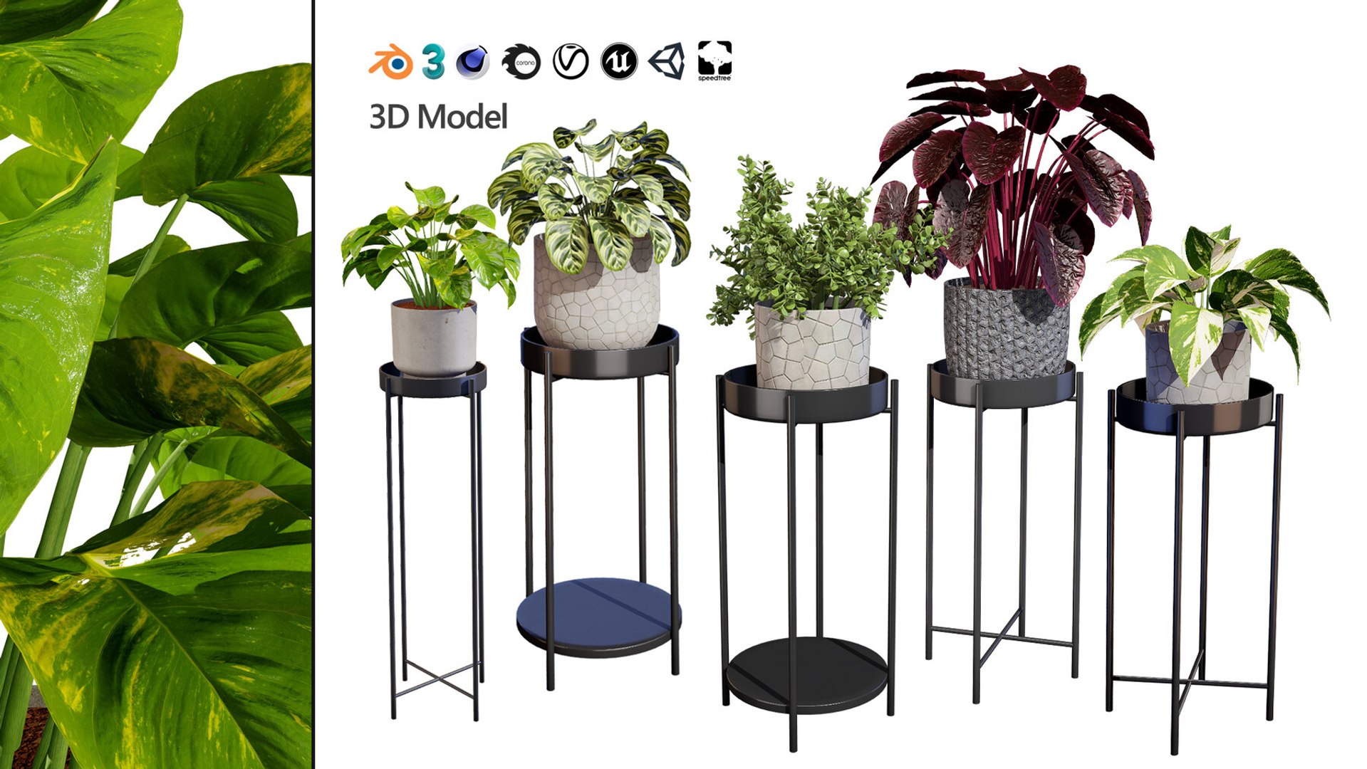 Realistic Low-Poly Indoor Plants 3d collection model https://p.turbosquid.com/ts-thumb/9F/StaDd3/dU/indoorplant3dmodels01/jpg/1728517377/1920x1080/fit_q87/27f94f57b794b4b37af888699df1b3f3eb613a79/indoorplant3dmodels01.jpg