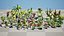 Realistic Low-Poly Indoor Plants 3d collection model