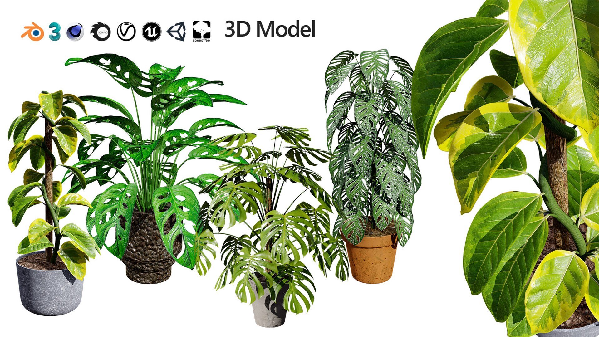 Realistic Low-Poly Indoor Plants 3d collection model https://p.turbosquid.com/ts-thumb/9F/StaDd3/i6/monsteraplant3dmodel01/jpg/1728517384/1920x1080/fit_q87/92477debc25b92728e3f2405882d627400f53ca1/monsteraplant3dmodel01.jpg
