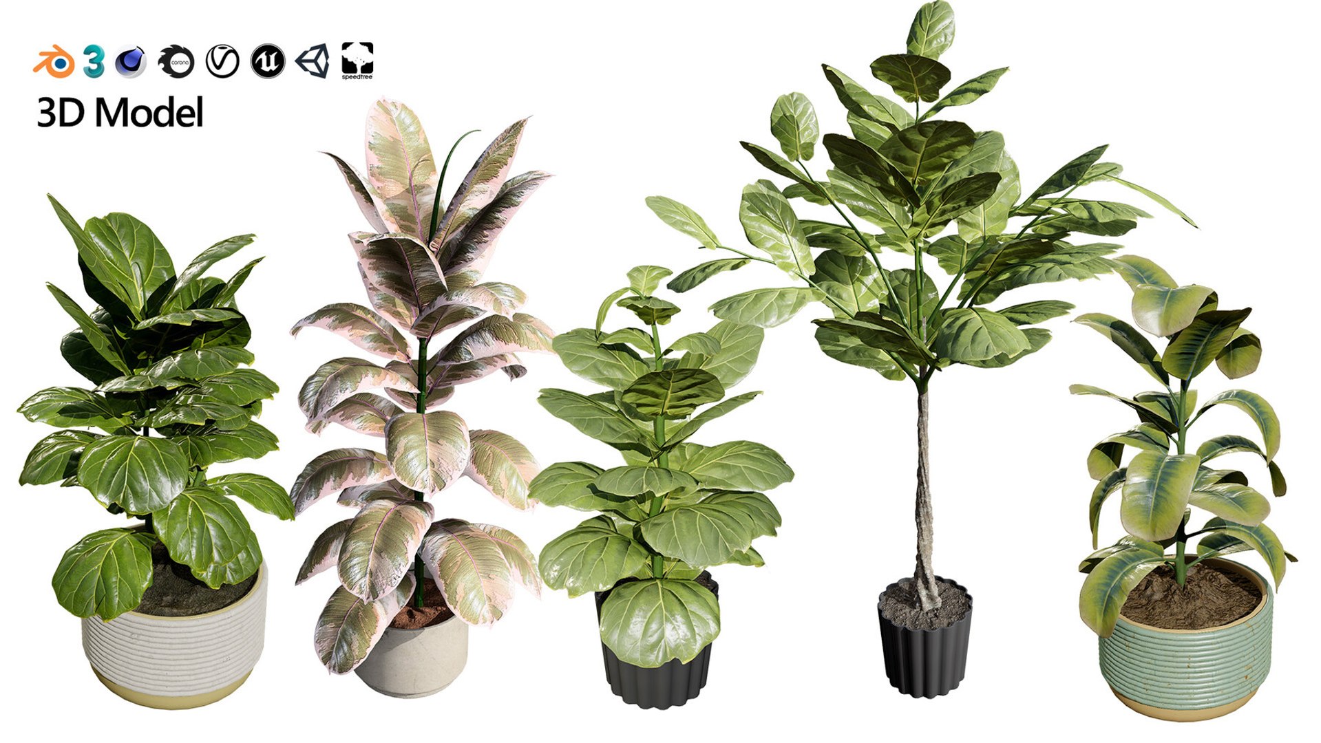 Realistic Low-Poly Indoor Plants 3d collection model https://p.turbosquid.com/ts-thumb/9F/StaDd3/rM/fiddleleaffigindoorplantscollection02/jpg/1728517379/1920x1080/fit_q87/3ab203f53601fae10dda3289372cc86c00bf52be/fiddleleaffigindoorplantscollection02.jpg
