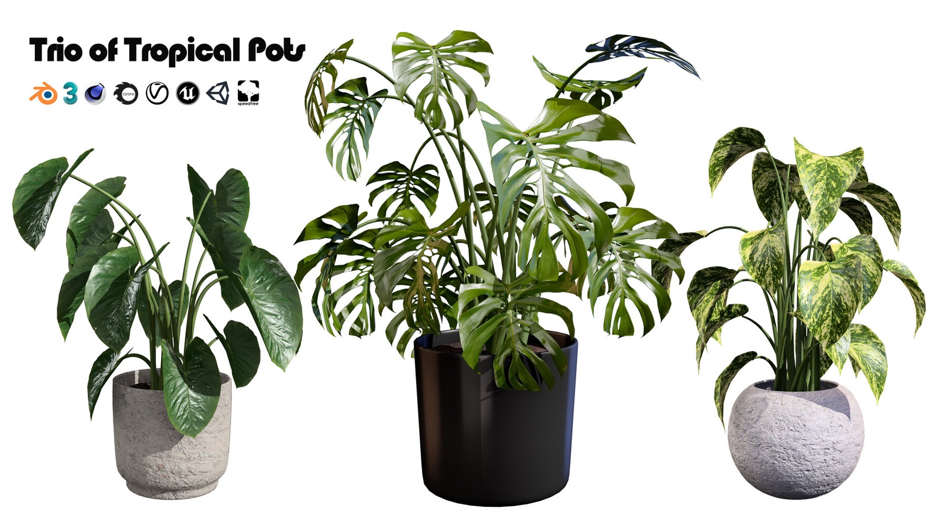 Realistic Low-Poly Indoor Plants 3d collection model https://p.turbosquid.com/ts-thumb/9F/StaDd3/uo/tropicaltrioacollectionofstunningpottedplants01/jpg/1728517280/1920x1080/fit_q87/5e92269c3b4d1b13ca756a68b220c56fe313651b/tropicaltrioacollectionofstunningpottedplants01.jpg