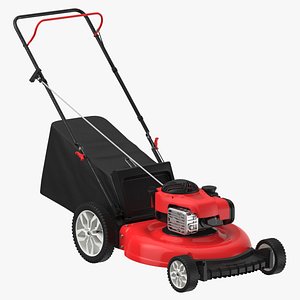 Lawnmower Type 01 Clean and Dirty