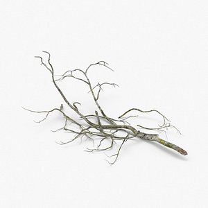 3D fallen-tree-branches-03