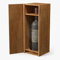 Vintage Bordeaux Bottle in Wooden Cabinet with Web