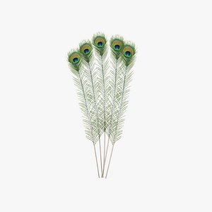 3D Peacock Feather
