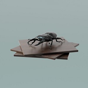 3D House Decoration Stag Beetle Statue
