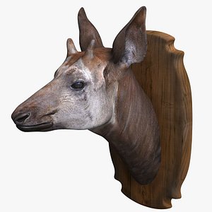 3D Okapi Head