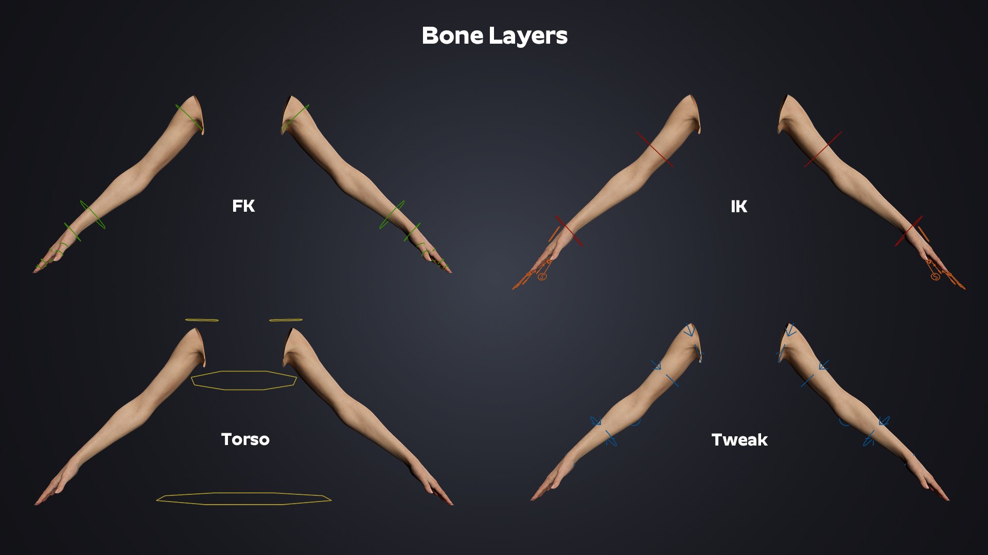 Realistic Female Arms - Cinematic Edition 3D model https://p.turbosquid.com/ts-thumb/9F/vCJqec/P6/bonelayers/jpg/1770058748/1920x1080/fit_q87/9d77bcedf5232ad13da75f4d2c9ed7b7e937b71f/bonelayers.jpg