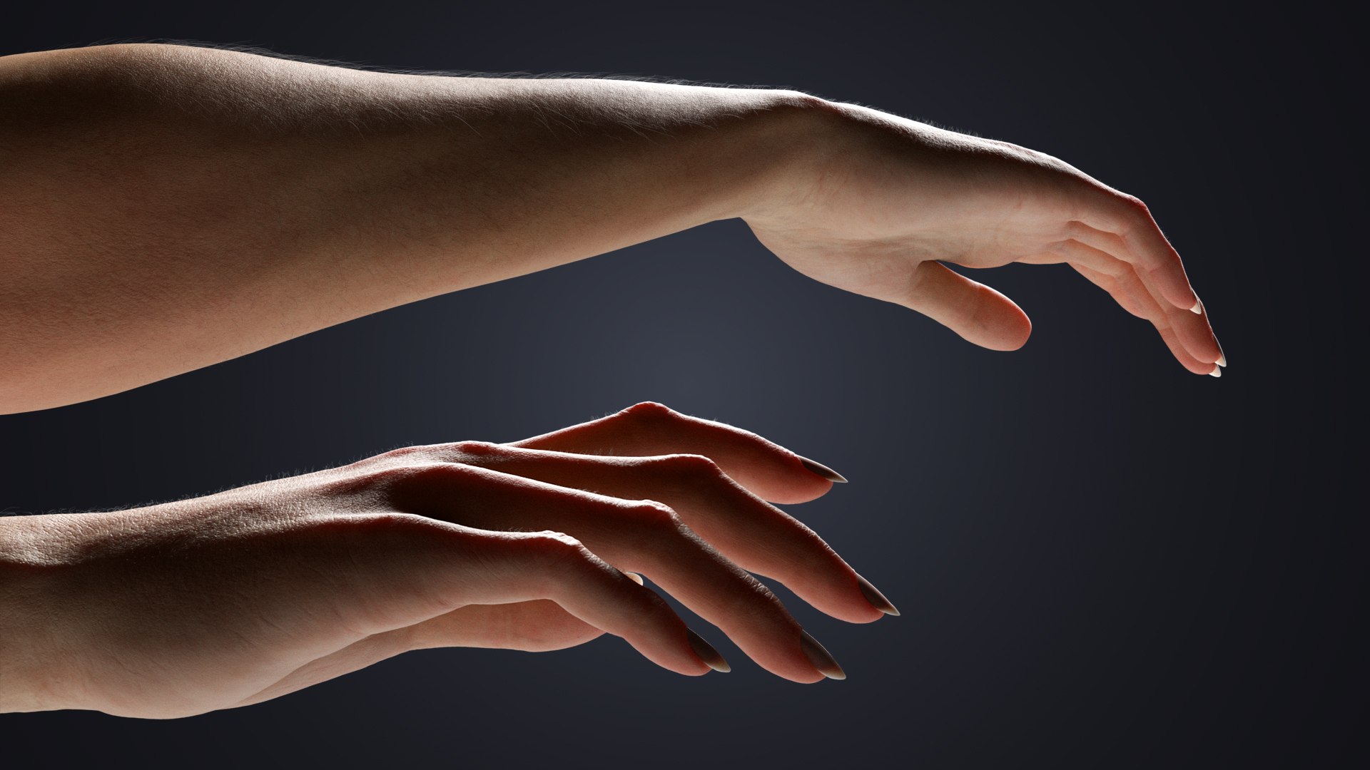 Realistic Female Arms - Cinematic Edition 3D model https://p.turbosquid.com/ts-thumb/9F/vCJqec/Z4/handhair/jpg/1770058749/1920x1080/fit_q87/696ec3f6086eb0034a976b3aae613e6f1f81566b/handhair.jpg