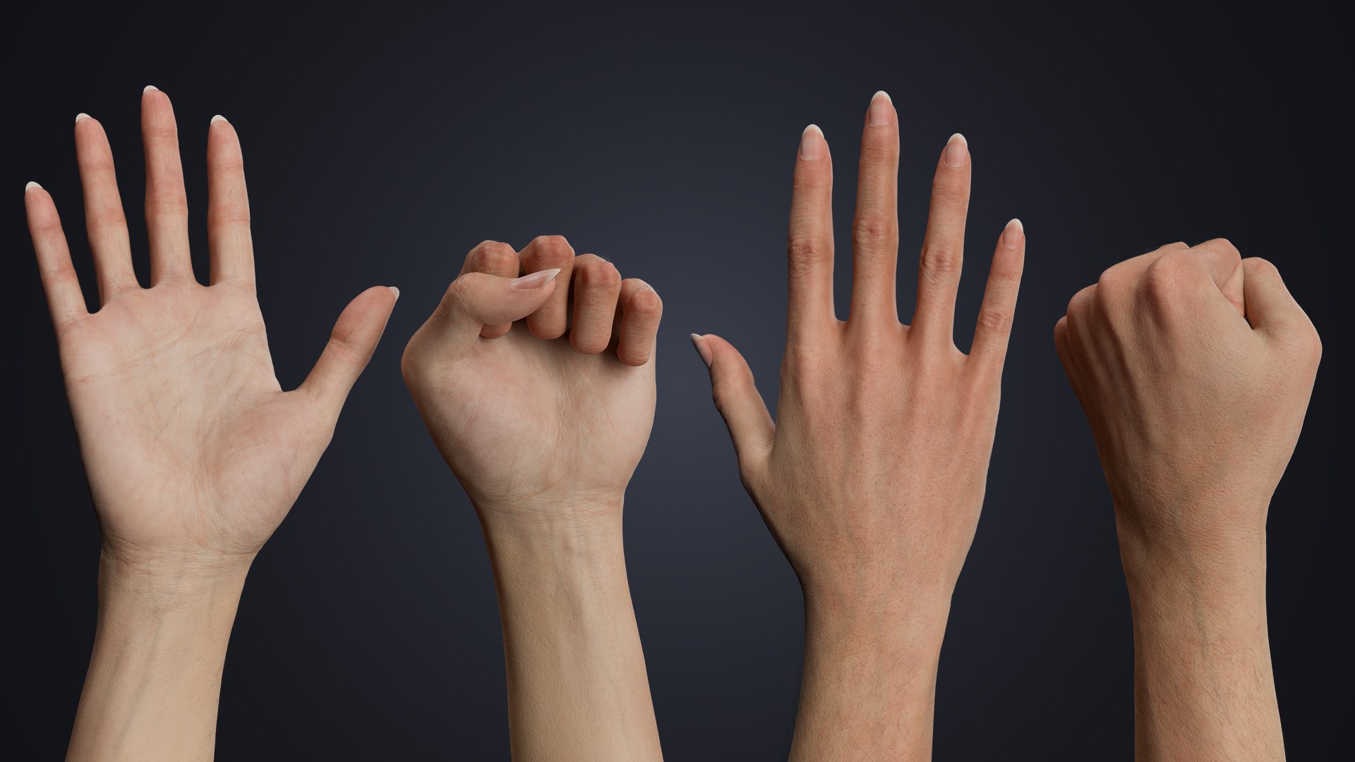 Realistic Female Arms - Cinematic Edition 3D model https://p.turbosquid.com/ts-thumb/9F/vCJqec/sr/palmfist/jpg/1770058750/1920x1080/fit_q87/681ce0187695924b0b825f7a9685e78f544483b9/palmfist.jpg