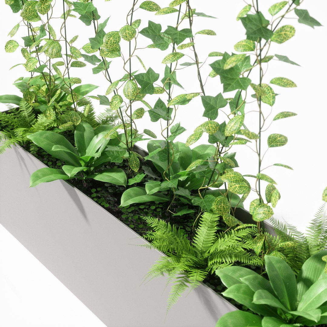 3D partition plant https://p.turbosquid.com/ts-thumb/9G/5LiN4P/6xtNcTOr/p04/jpg/1513665312/1920x1080/fit_q87/f9a7892f15d9783dc76089488a5424713fdccd82/p04.jpg