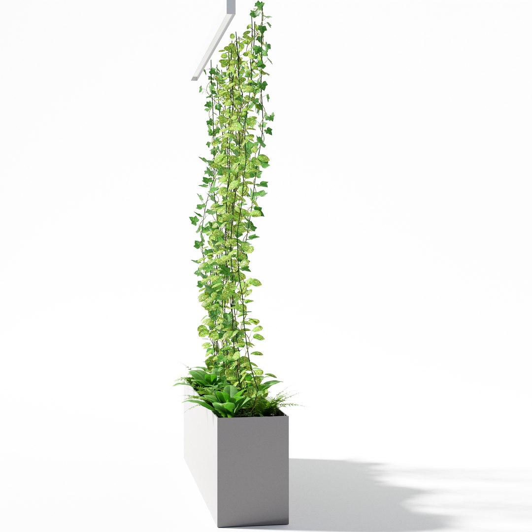 3D partition plant https://p.turbosquid.com/ts-thumb/9G/5LiN4P/AOVaexs6/p03/jpg/1513665295/1920x1080/fit_q87/331720c859cf2f6a39e0479cd64ee903a358ba81/p03.jpg