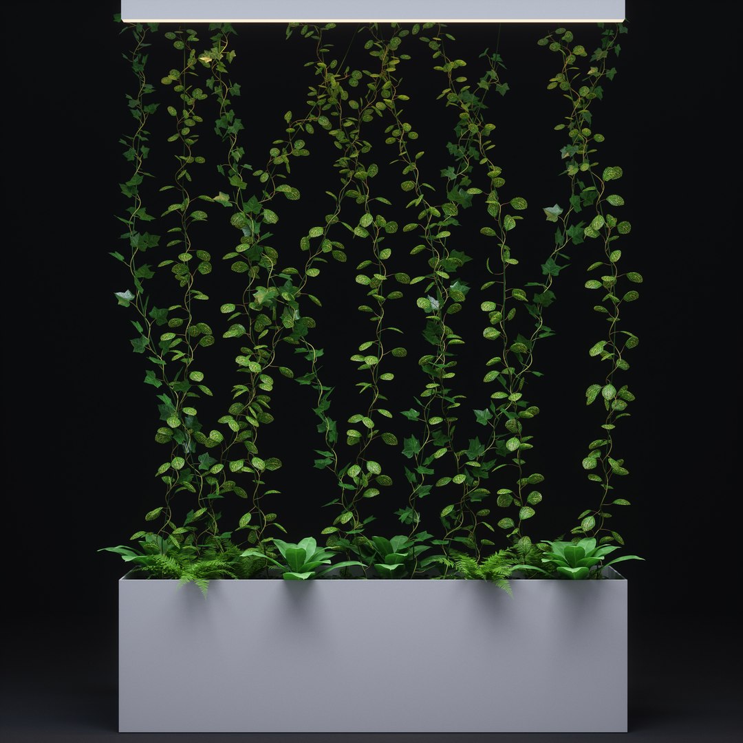 3D partition plant https://p.turbosquid.com/ts-thumb/9G/5LiN4P/B0Sta8J7/p08/jpg/1513665386/1920x1080/fit_q87/f2950314f6f57457b7d0d78d43a9cd70ff50de02/p08.jpg
