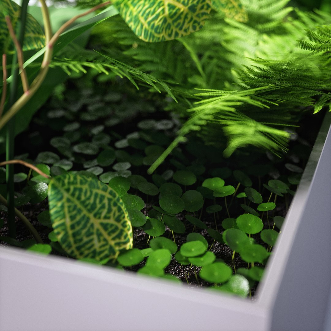 3D partition plant https://p.turbosquid.com/ts-thumb/9G/5LiN4P/KHX09foT/p07/jpg/1513665371/1920x1080/fit_q87/fc9ca442d87f6b1809b660f4928c55b53ed46f88/p07.jpg