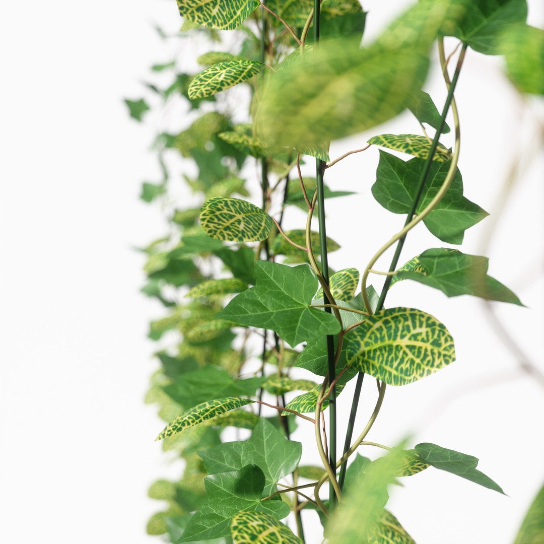 3D partition plant https://p.turbosquid.com/ts-thumb/9G/5LiN4P/z3cdqp9T/p06/jpg/1513665346/1920x1080/fit_q87/f473ca32bd611d78950dd1c608c8a509909a90f5/p06.jpg