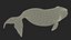 Sea Animal Bowhead Whale Rigged 3D model