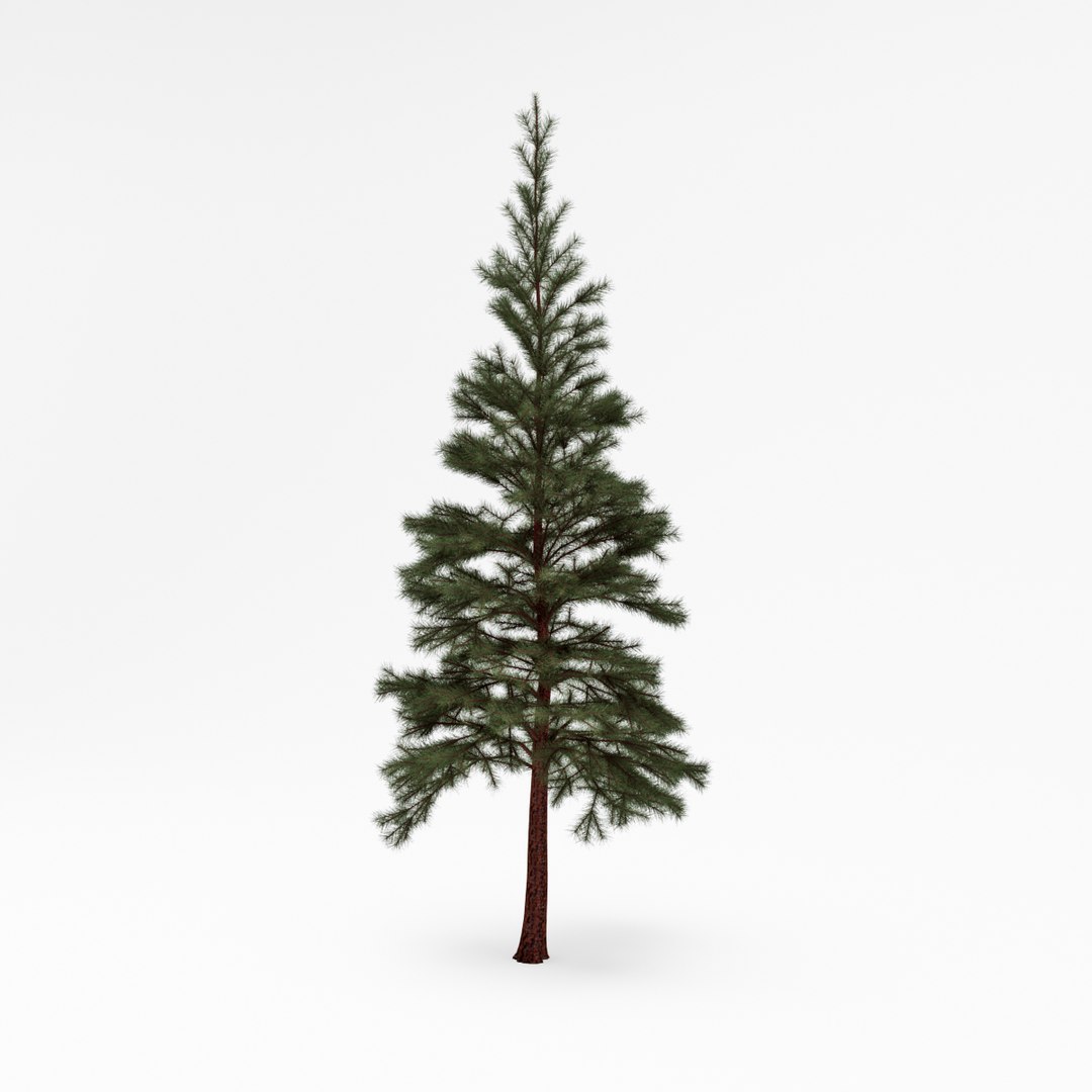 conifer 019 max https://p.turbosquid.com/ts-thumb/9G/F5EA9e/UhUdumBf/03/jpg/1406633967/1920x1080/fit_q87/f0a0c081c29a49c3771f453ec6cd1228593e1a19/03.jpg