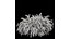 HQ Hydrangea Paniculata Phantom Spiraeacinerea Grefsheim